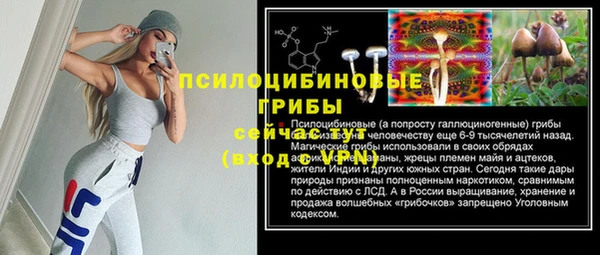 PSILOCYBIN Медногорск