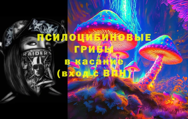 мдпв Верея