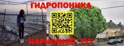 прущие крисы Аргун