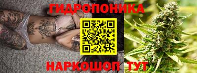 прущие крисы Аргун