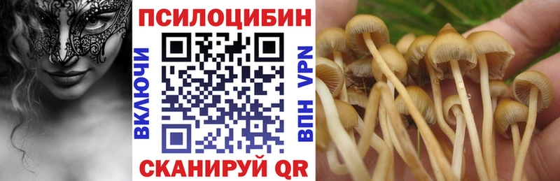 Псилоцибиновые грибы Psilocybe  ОМГ ОМГ как войти  Североуральск 