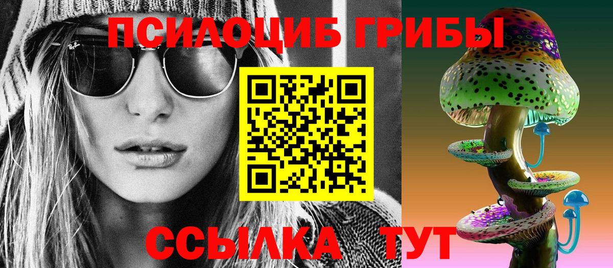 Псилоцибиновые грибы Psilocybe  Вход с VPN  Псилоцибиновые грибы Psilocybe  Североуральск 