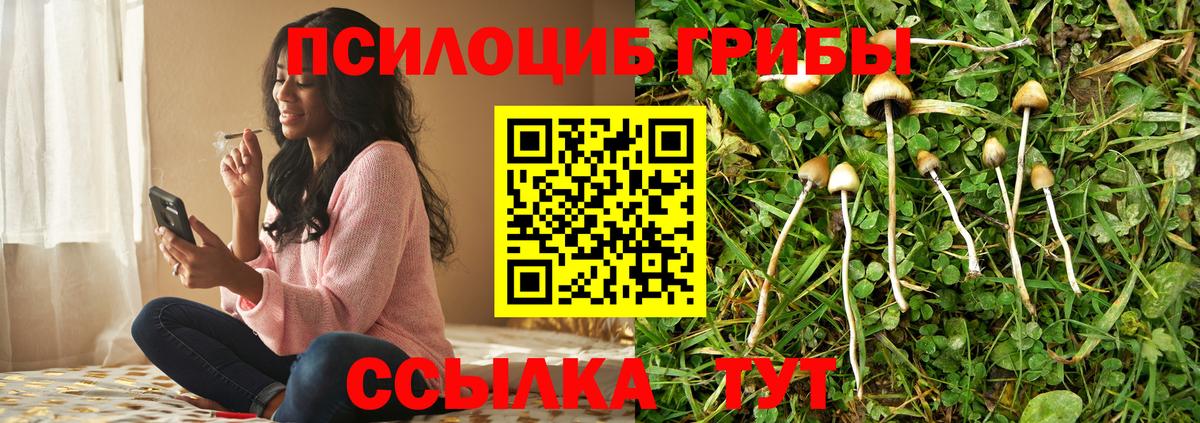 Псилоцибиновые грибы мицелий Североуральск