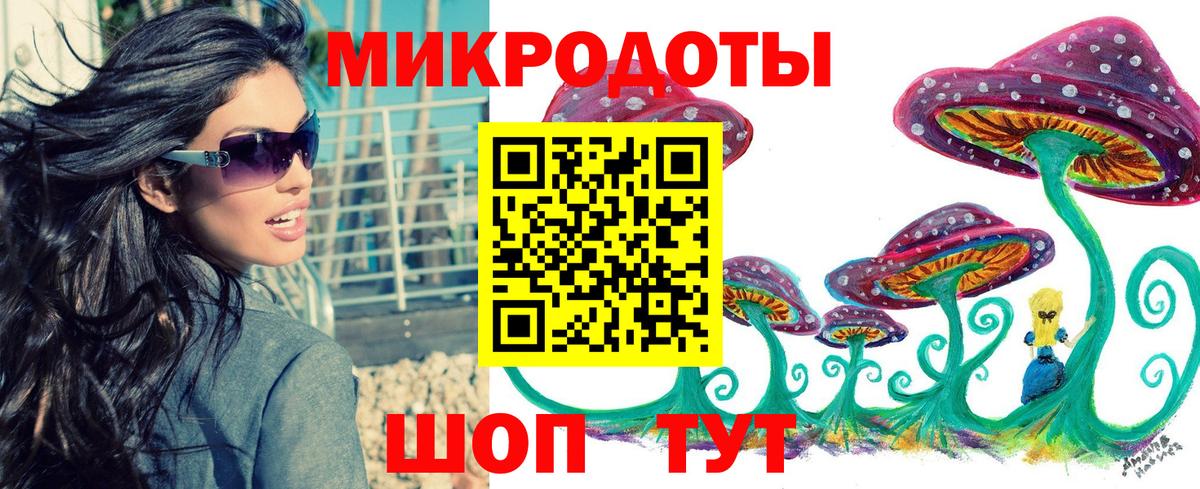 Галлюциногенные грибы Psilocybine cubensis Североуральск