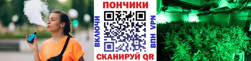 Канабис конопля Североуральск